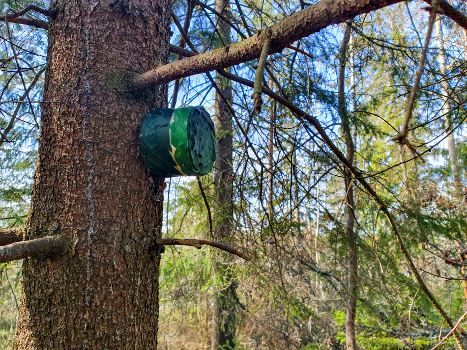 geocache burk