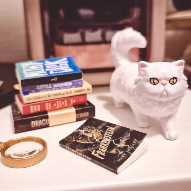 Öppnade två bollar "off cam" och den ena var väldigt tung och innehöll katten! Tyvärr bara en ny bok, "Frankenstein", resten dubbletter. Men vill någon byta böcker sedan så har jag ett par nu ☺️

#minibrandsbooks #minibrandsbooksseries2 #unboxing